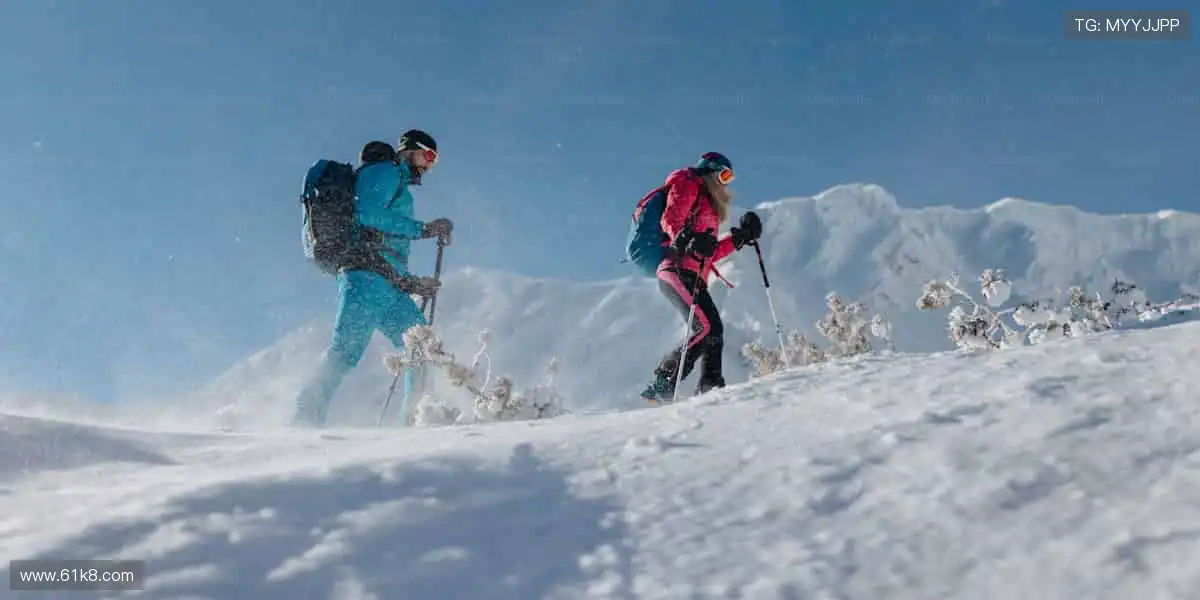 💻高清画质 + 实时弹幕,直播平台就是你的专属看台!
